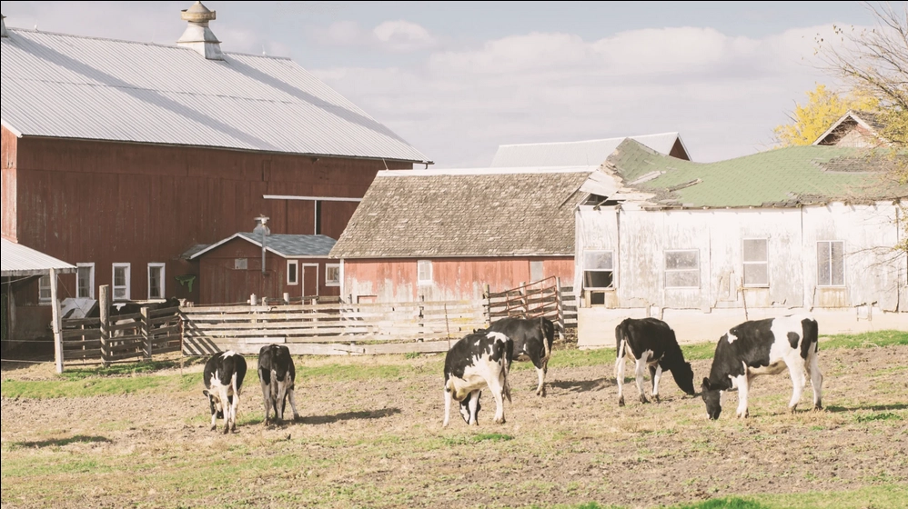 Farming